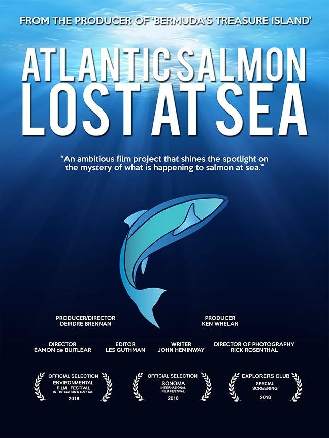 Постер Atlantic Salmon: Lost at Sea